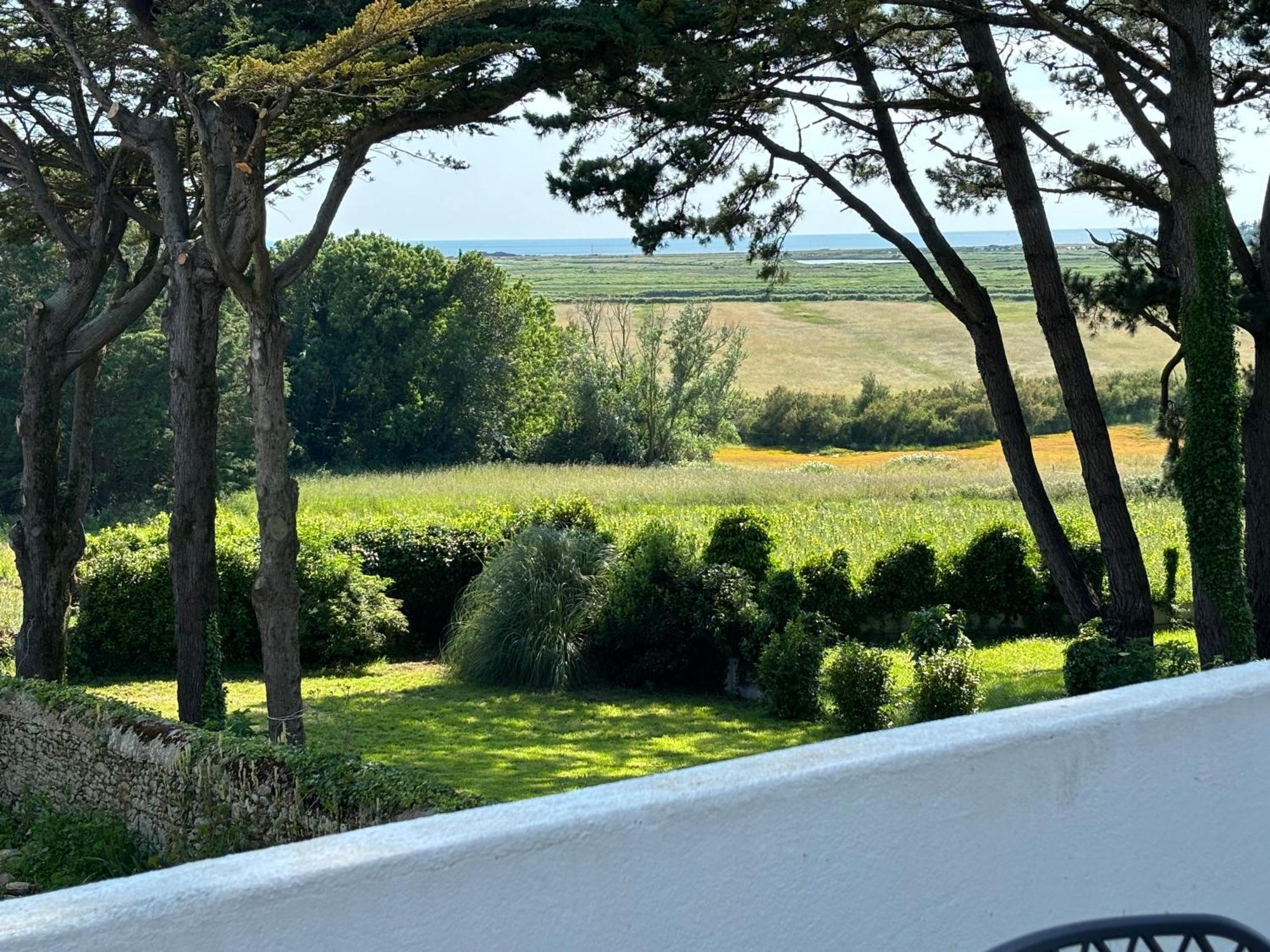 Villa Vieilles Vignes Vue Mer Billiers Eksteriør bilde