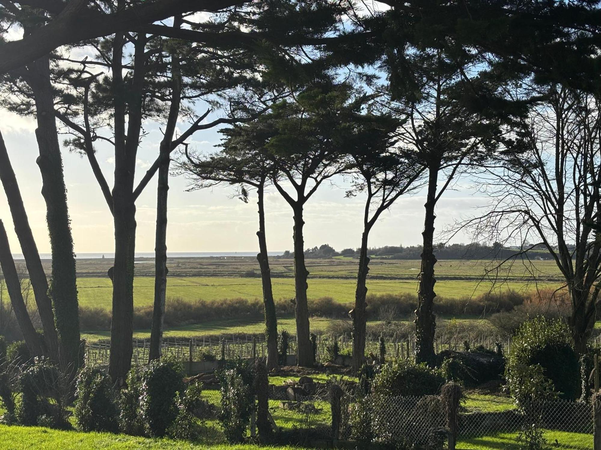 Villa Vieilles Vignes Vue Mer Billiers Eksteriør bilde
